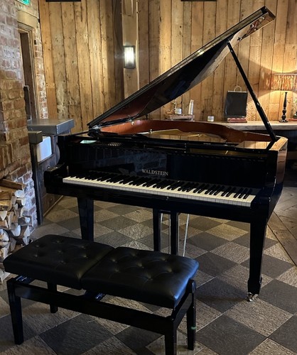 Waldstein 150 pianoforte - waldstein,